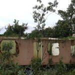 Brumadinho: Crea cancela registro de 15 engenheiros envolvidos