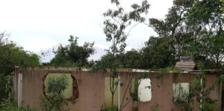 Brumadinho: Crea cancela registro de 15 engenheiros envolvidos