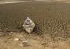 Brasil promete restaurar 163 mil km² de terras degradadas até 2030