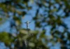 Cristo Redentor se prepara para compensar impacto ambiental do turismo